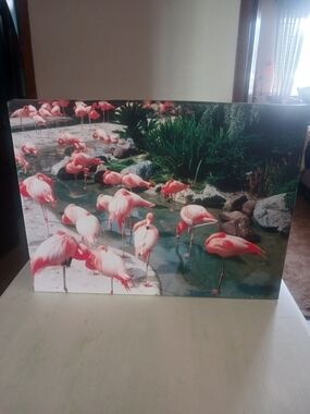 Pink Flamingos Wall Art Photography Print